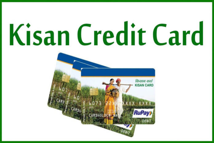 Kisan Credit Card,KCC,Farmers, Credit Card,Loans,Dainik Bharat,