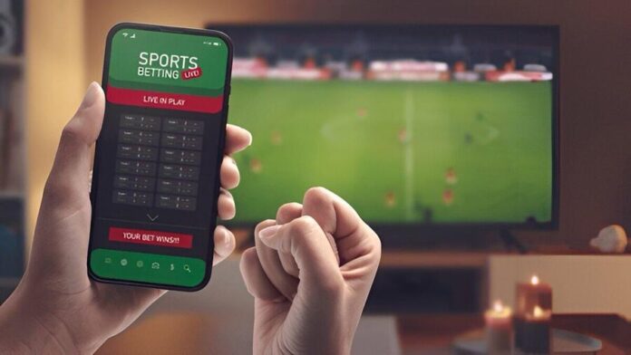 The Future of Online Cricket Betting in India